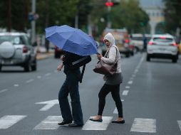 El SMN pronostica valores máximos de 25 grados y mínimos de 10 en el estado. EL INFORMADOR/ARCHIVO