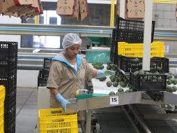 México y Canadá tienen una visión compartida de temas como el libre comercio, seguridad energética, migración, entre otros. EL INFORMADOR/ ARCHIVO