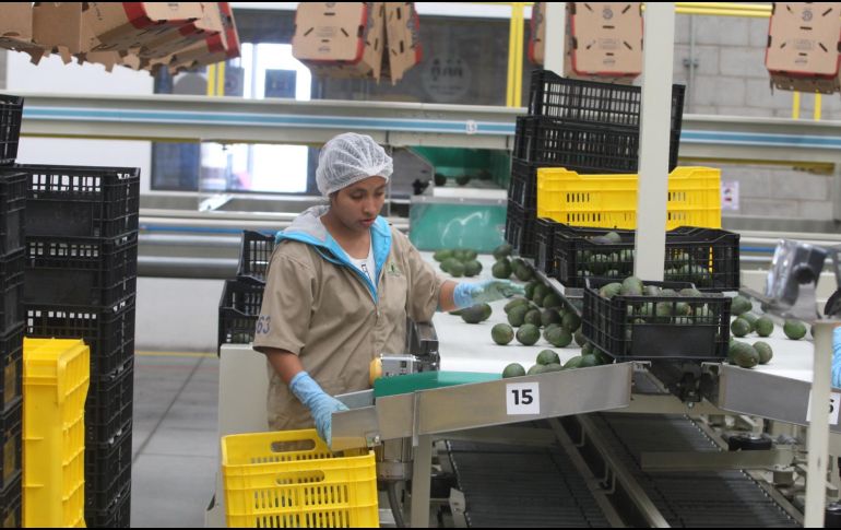 México y Canadá tienen una visión compartida de temas como el libre comercio, seguridad energética, migración, entre otros. EL INFORMADOR/ ARCHIVO