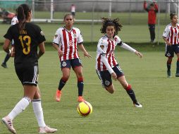 Chivas es segundo lugar del Grupo B con 16 puntos. EL INFORMADOR/Archivo