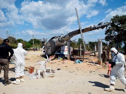 La PGR aún no informa sobre los peritajes que realiza, ni se ha precisado quién ordenó el aterrizaje en la comunidad que no tenía energía eléctrica tras el sismo. AFP / ARCHIVO