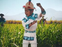 El partido señaló que no contrató de manera directa a la agrupación Venado Azul, por lo que no está registrado algún pago a dicha agrupación o al niño. YOUTUBE / Yuawi Oficial