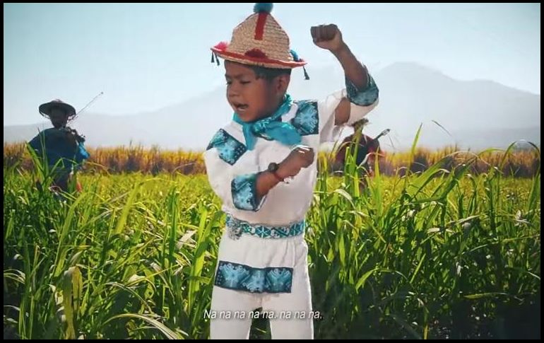El partido señaló que no contrató de manera directa a la agrupación Venado Azul, por lo que no está registrado algún pago a dicha agrupación o al niño. YOUTUBE / Yuawi Oficial
