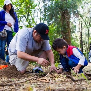 Extra A.C. donará 220 mil árboles en 2018