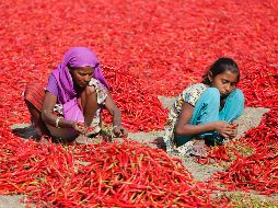 El mundo en imágenes del 25 de febrero de 2018