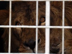 El mundo en imágenes del 26 de febrero de 2018