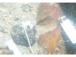 El sitio arqueológico demuestra que estas zonas sumergidas en alta mar han sobrevivido a fenómenos naturales, como la erosión y los huracanes. ESPECIAL / dos.myflorida.com