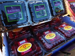 En los últimos años, México se ha convertido en uno de los países más atractivos para las inversiones y en el rubro agropecuario tiene reconocimiento a nivel internacional. EL INFORMADOR/ ARCHIVO