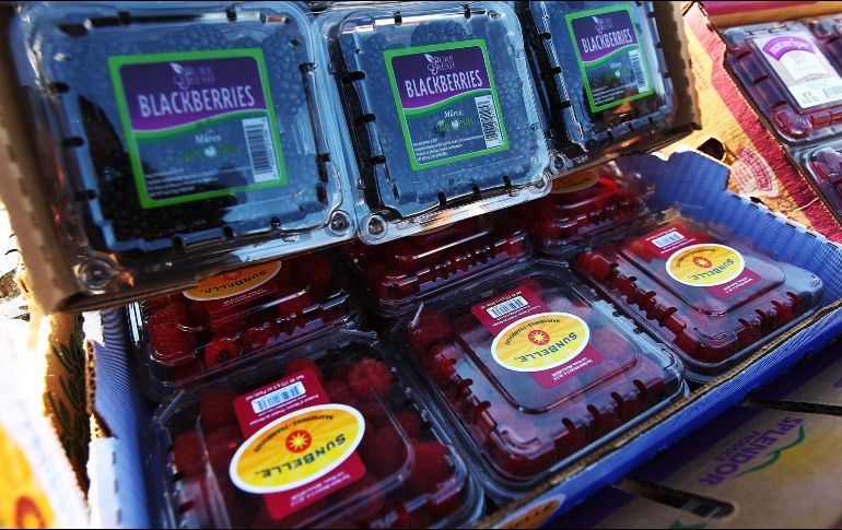 En los últimos años, México se ha convertido en uno de los países más atractivos para las inversiones y en el rubro agropecuario tiene reconocimiento a nivel internacional. EL INFORMADOR/ ARCHIVO