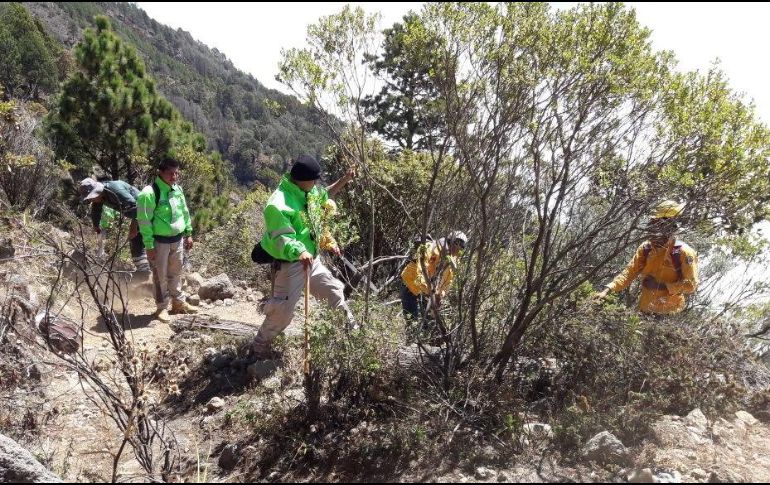 Después de cuatro horas de recorrido, este jueves los brigadistas ingresaron a la zona del incendio donde habilitaron brechas para cortar el fuego. TWITTER / @pcivilchiapas