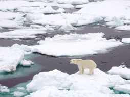 El hielo marino que rodea la Antártida se redujo a 2.15 millones de kilómetros cuadrados. ESPECIAL / www.nasa.gov