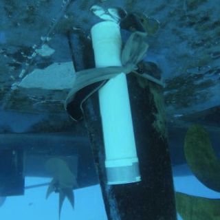 Canadá emite aviso para evitar uso de barcos en Playa del Carmen