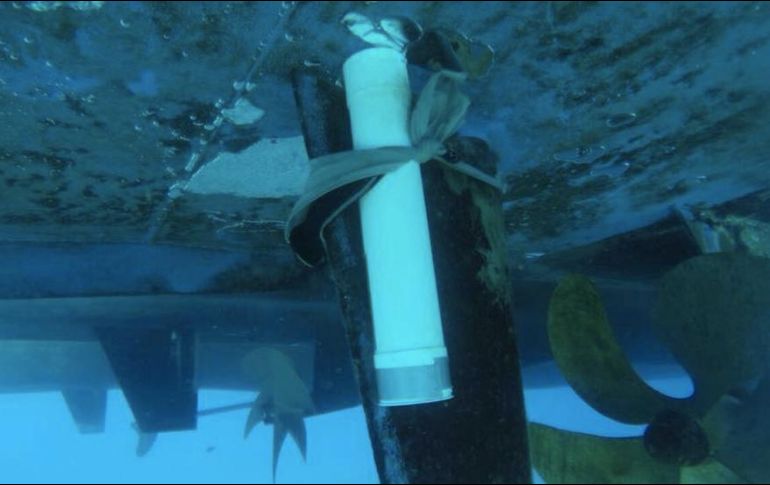 El gobierno canadiense añade lo sucedido el primero de marzo, con la 