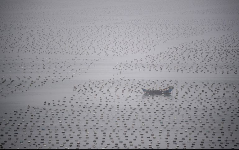 Un pescador trabaja en medio de una granja marina en la población china de Lianjiang. AFP/J. Eisele