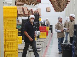 El Instituto subrayó que se trata del mayor aumento para el primer bimestre desde que se tiene registro. EL INFORMADOR / ARCHIVO