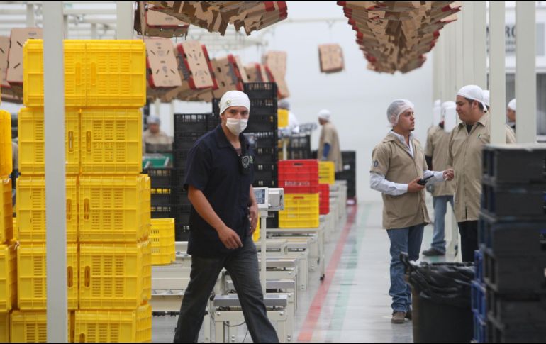 El Instituto subrayó que se trata del mayor aumento para el primer bimestre desde que se tiene registro. EL INFORMADOR / ARCHIVO
