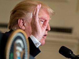 En conferencia de prensa celebrada el martes, Trump precisó que si hay éxito en la negociación del TLCAN, México y Canadá quedarán exentos de estos aranceles. EFE / A. Harrer
