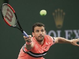 Grigor Dimitrov devuelve un golpe de derecha a Fernando Verdasco en el Indian Wells. AFP