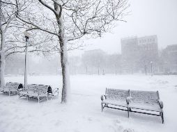 Las autoridades esperan que estas condiciones se mantengan durante la mayor parte del martes; las nevadas podrían dejar acomulados alrededor de 60 centímetros. AFP / S. Eisen