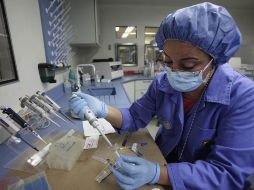 Se pretende llevar módulos del programa de recolección de ADN a municipios como Puerto Vallarta, Ameca o Lagos de Moreno. SUN / ARCHIVO