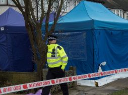 El empresario de 68 años fue encontrado muerto en su casa del sur de Londres el pasado lunes. EFE / ARCHIVO