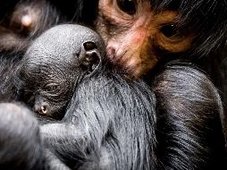 El mundo en imágenes del 16 de marzo de 2018