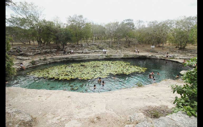 Sus aguas cristalinas y lirios, un deleite a la vista. EL INFORMADOR/ F. González