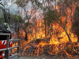 Unos 280 bomberos y 29 aeronaves combaten el fuego, que brotó en su mayor parte anoche durante una tormenta eléctrica. AP