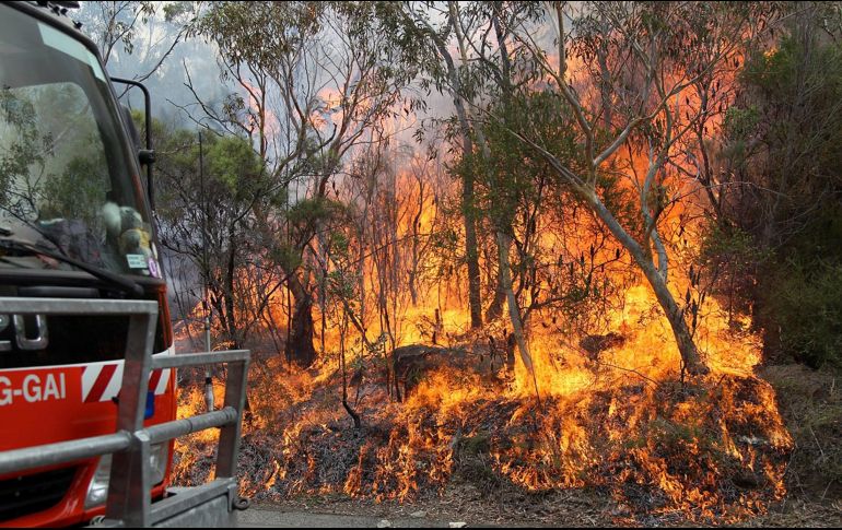 Unos 280 bomberos y 29 aeronaves combaten el fuego, que brotó en su mayor parte anoche durante una tormenta eléctrica. AP