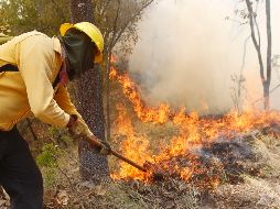 El incendio se reportó el pasado viernes 16 de marzo y ese mismo día se declaró controlado, pero horas después habría sido reavivado. EL INFORMADOR / ARCHIVO