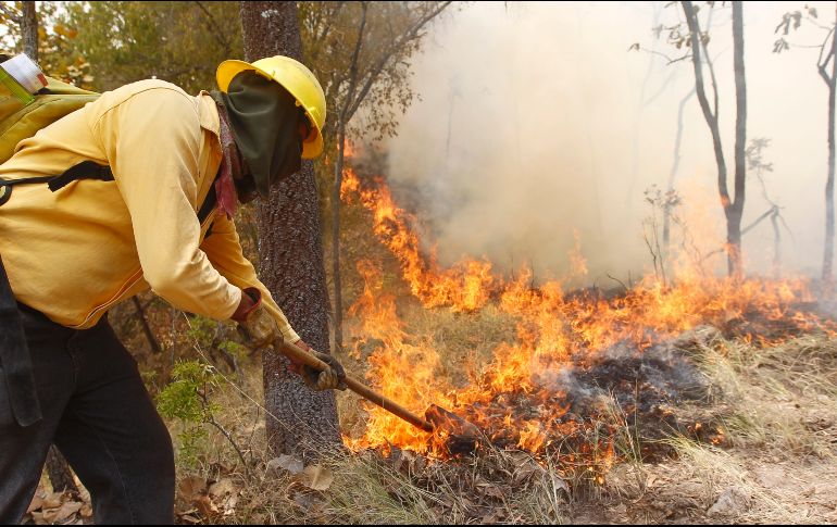 El incendio se reportó el pasado viernes 16 de marzo y ese mismo día se declaró controlado, pero horas después habría sido reavivado. EL INFORMADOR / ARCHIVO