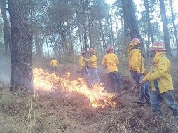 El incendio habría iniciado el pasado viernes en el paraje de El Sombrerito, mismo día en el que fue declarado controlado. TWITTER / @ReporteForestal
