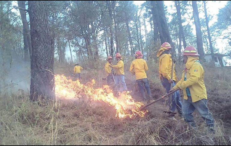 El incendio habría iniciado el pasado viernes en el paraje de El Sombrerito, mismo día en el que fue declarado controlado. TWITTER / @ReporteForestal
