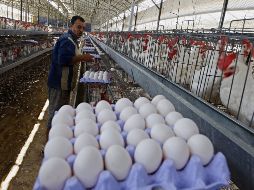 Las empresas involucradas pueden ser sancionadas hasta con el 10 % de sus ingresos. AFP/Archivo