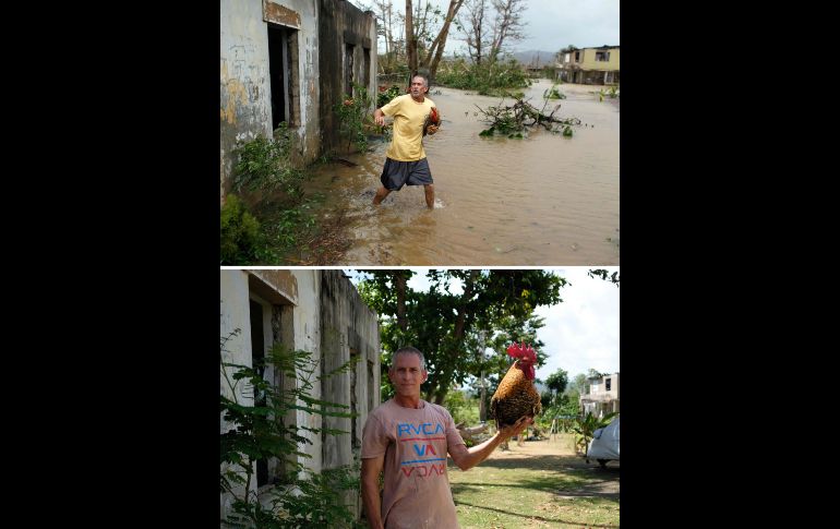 Eduardo Caban logró rescatar a su gallo 