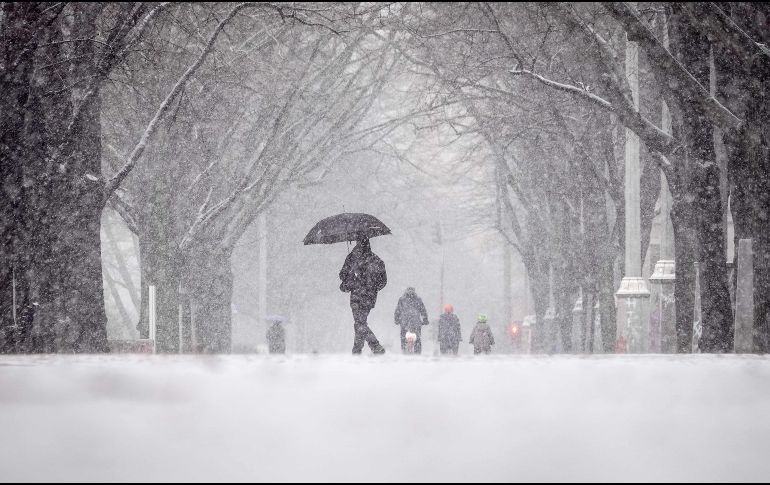 La nieve, que comenzó a caer a primera hora de la mañana, se mantendrá hasta el jueves; recomiendan no viajar si no es necesario debido a las condiciones climáticas. AFP / K. Nietfeld
