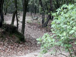 El año pasado, el Bosque La Primavera recibió de 35 mil a 40 mil visitantes tan sólo en las semanas Santa y Pascua.