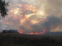 A las 19:53 horas sólo quedaban líneas de fuego con rumbo al Macrolibramiento, siendo controlado y a un 90 por ciento de ser extinto. TWITTER / @ReporteForestal