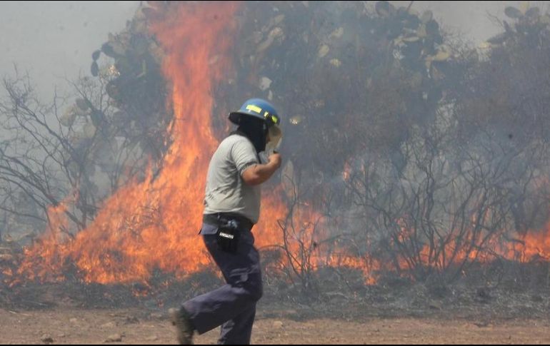 Las líneas para reportar incendios son Protección Civil y Bomberos Tlajomulco son 37981598 y Emergencias: 911. EL INFORMADOR / ARCHIVO