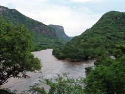 A través de esquemas de fondos concurrentes, la Semadet y la Conafor pretenden conservar 22 mil 292 hectáreas de recursos naturales. EL INFORMADOR/Archivo