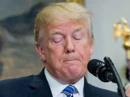 Amazon ha sido un blanco de Trump, porque el fundador del minorista online, Jeff Bezos, es dueño del Washington Post, que el presidente ha tachado de dar ''noticias falsas''. EFE / ARCHIVO