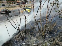 El área afectada, que se halla en uno de los cerros frente al bosque La Primavera, fue de mil 315 metros cuadrados. ESPECIAL/