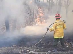 A las 16:30 horas se logró controlar y sofocar el incendio además de enfriar la zona afectada. TWITTER / @UMPCyBZ