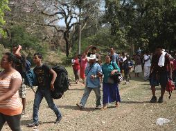 Los retenidos por autoridades se habrían separado de la Caravana para continuar su viaje a los Estados Unidos. AP / F. Marquez