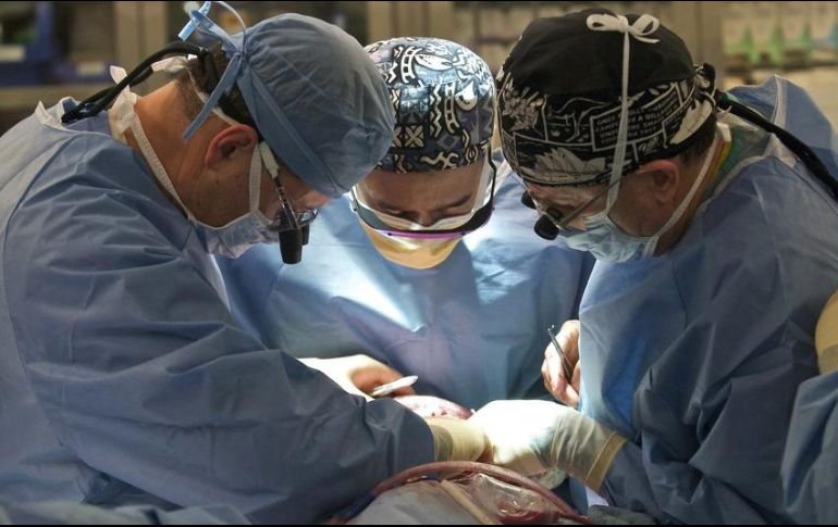 Conoce algunos de los mitos que provocan que muchos mexicanos desistan a ser donadores de órganos. EFE / ARCHIVO