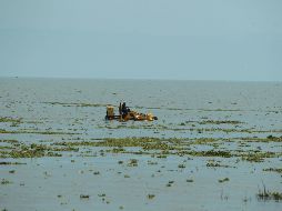 Omar Borboa, de México al Frente, y Alberto Uribe, de Morena, coincidieron en el problema del agua en Jalisco. EL INFORMADOR/Archivo