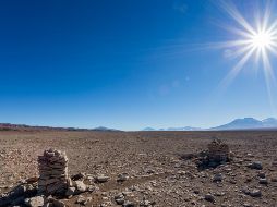 Investigadores descubrieron la existencia de 