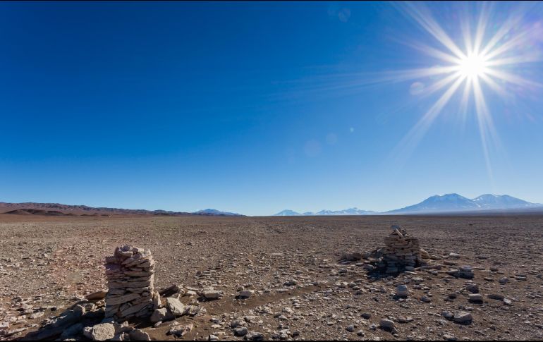 Investigadores descubrieron la existencia de 
