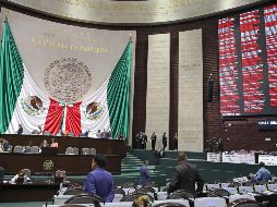 El dictamen que pasará a la Cámara Alta deberá tener un resolutivo antes del 30 de abril, por disposición de la SCJN.