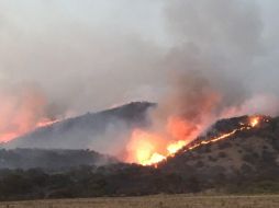 Hasta las 11:00 horas, el incendio ha consumido al menos una superficie de 600 hectáreas, según datos oficiales. ESPECIAL / Protección Civil Zapopan